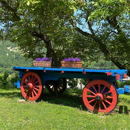 Agriturismo Popolano Di Sotto Marradi Luaran gambar