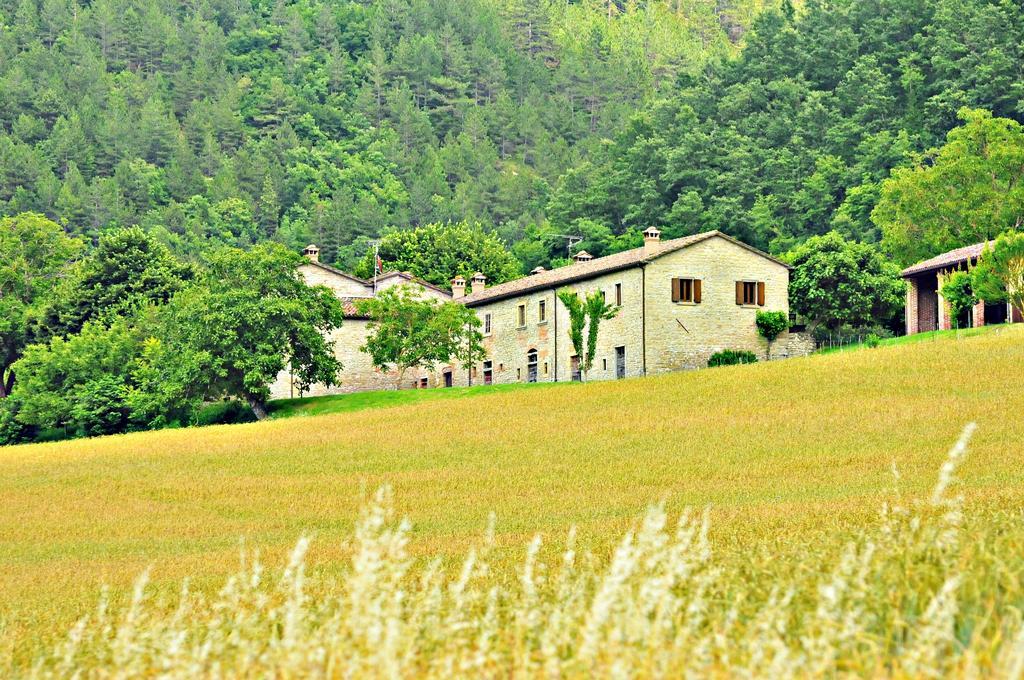 Agriturismo Popolano Di Sotto Marradi Luaran gambar