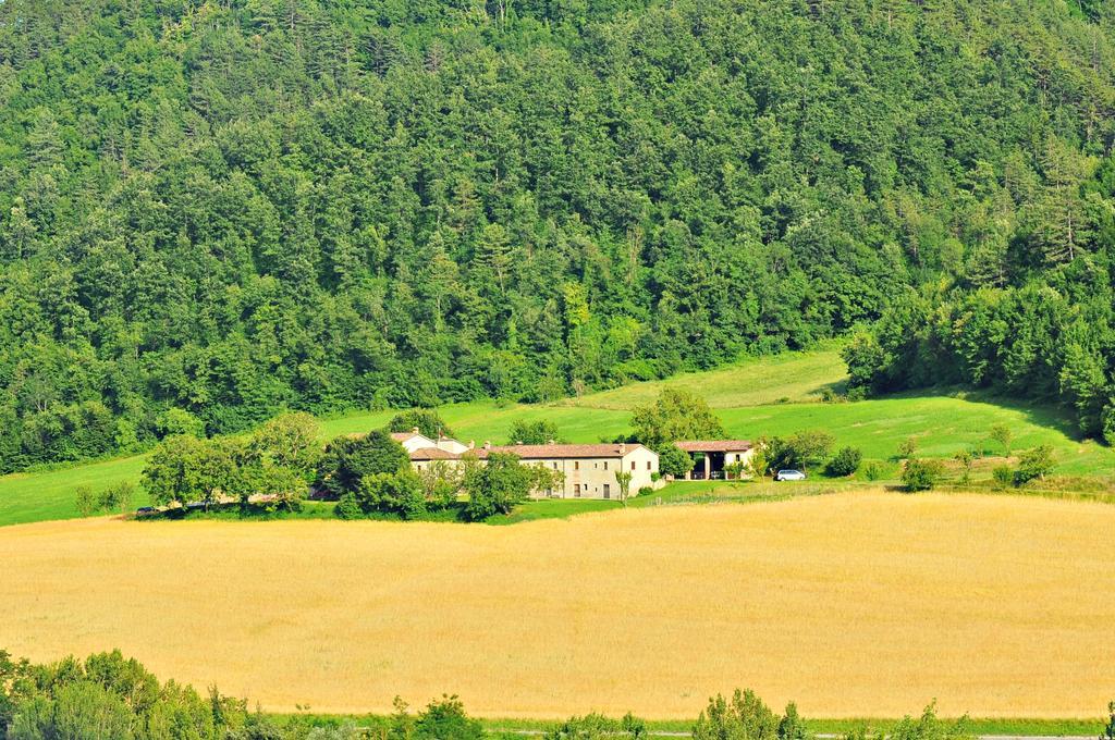 Agriturismo Popolano Di Sotto Marradi Luaran gambar
