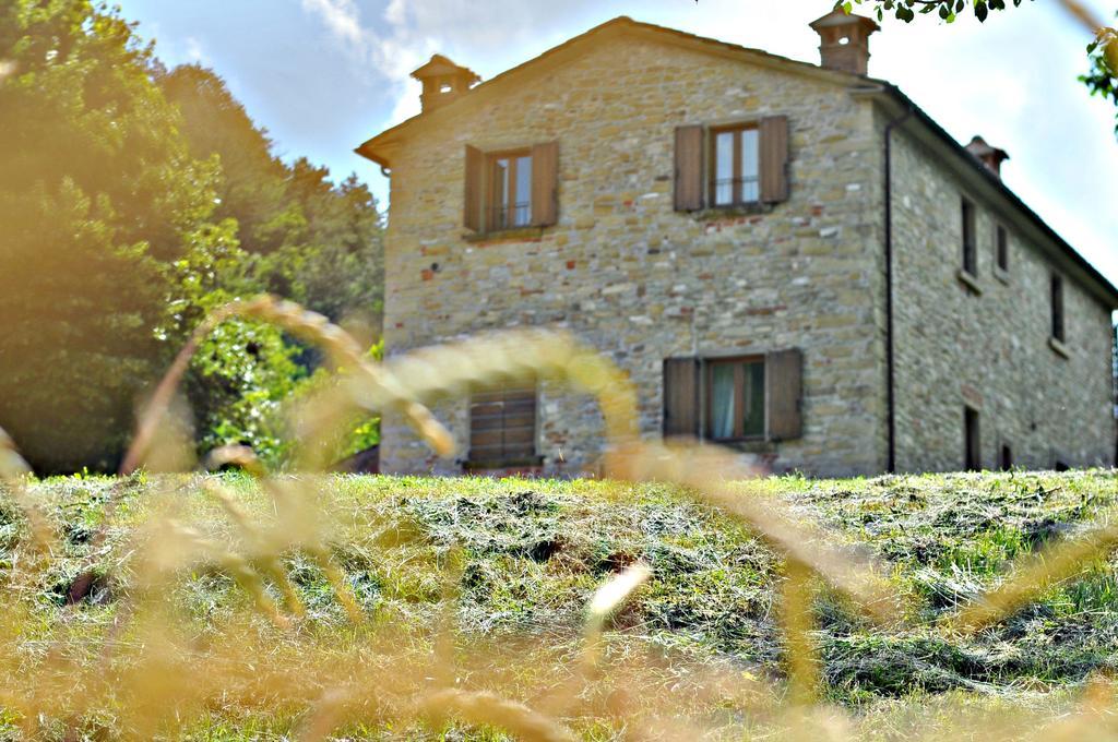 Agriturismo Popolano Di Sotto Marradi Luaran gambar