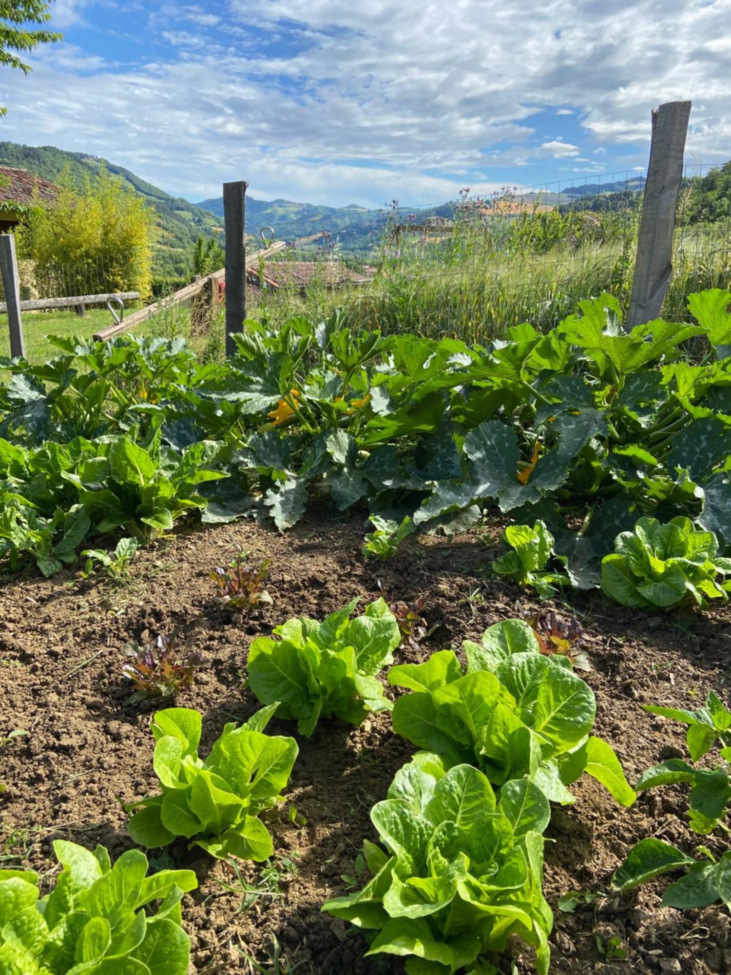 Agriturismo Popolano Di Sotto Marradi Luaran gambar