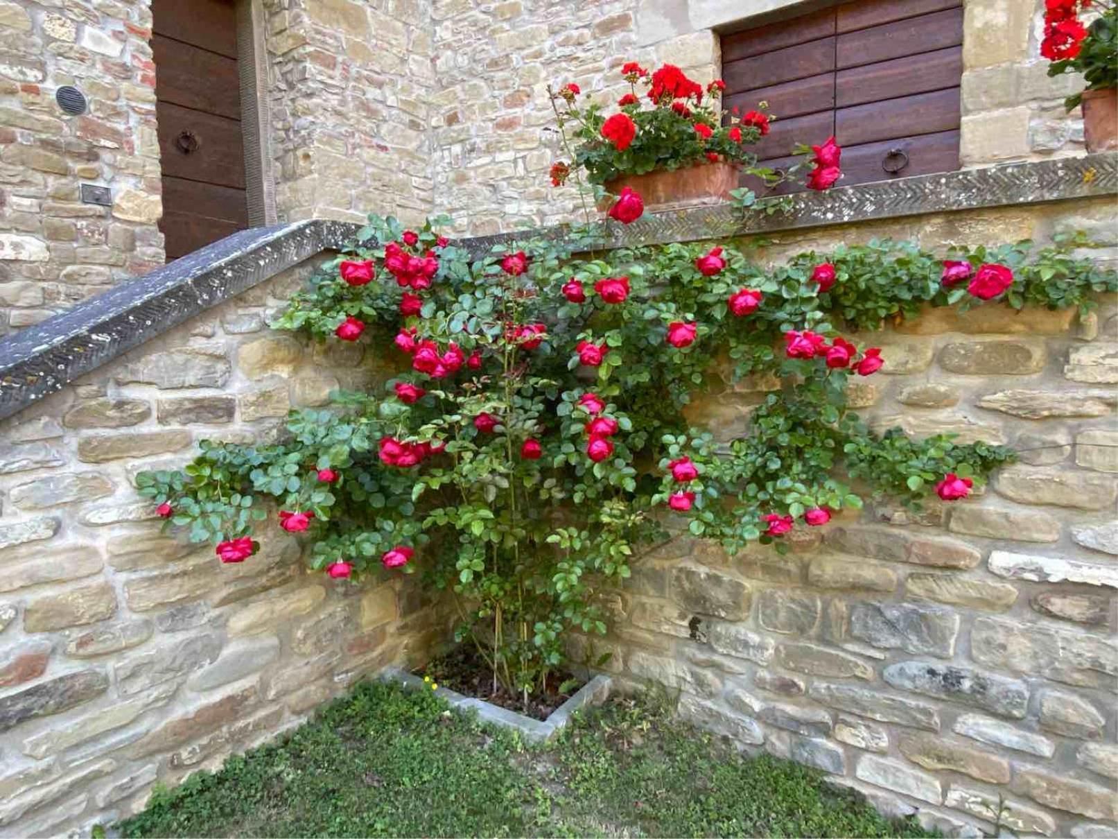 Agriturismo Popolano Di Sotto Marradi Luaran gambar