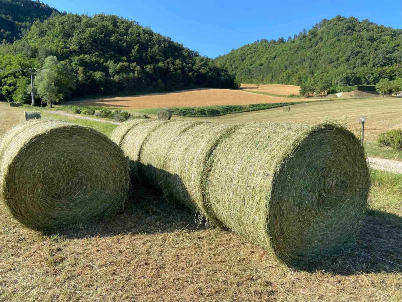 Agriturismo Popolano Di Sotto Marradi Luaran gambar
