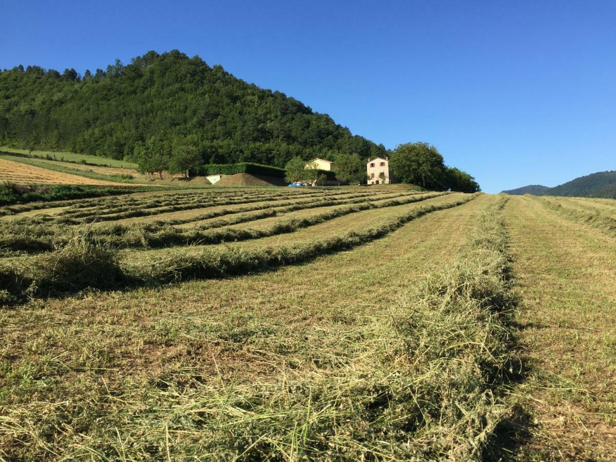 Agriturismo Popolano Di Sotto Marradi Luaran gambar